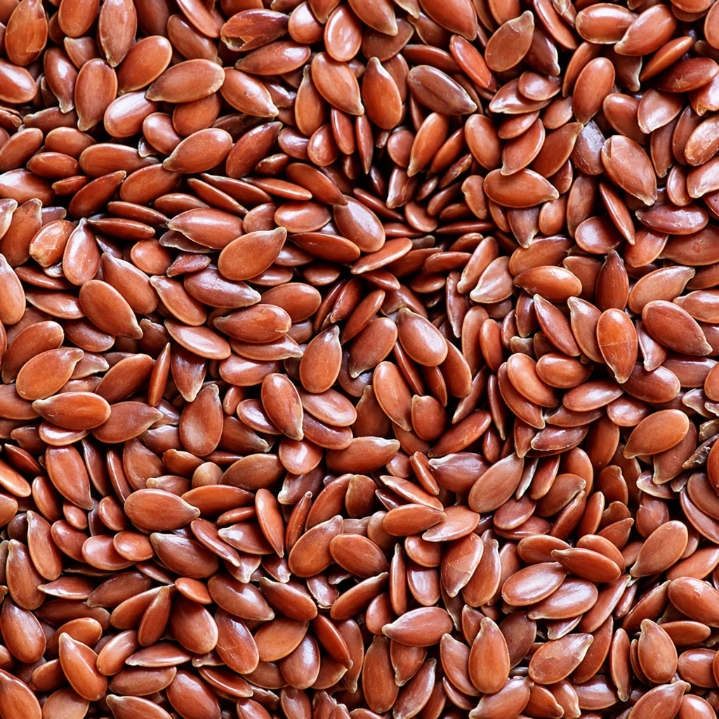 Flax Seeds